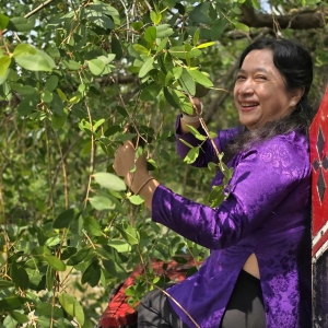 mua-trai-ban-chin-tren-dong-song-cua-dai