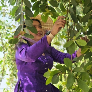 mua-ban-chin-tren-dong-song-cua-dai