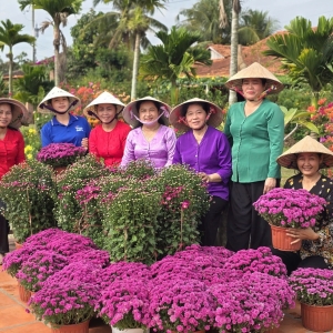 khong-khi-ron-rang-tieng-cuoi-tai-homestay-ut-trinh-chuan-bi-cho-tet-binh-ngo-2026