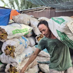 nghe-lam-than-gao-dua-hoat-tinh