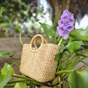 net-dep-nghe-dan-luc-binh-o-mien-tay