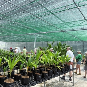 kham-pha-lang-cay-giong-cai-ga-cai-mon