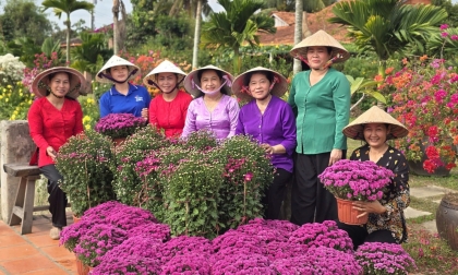 Không khí rộn ràng tiếng cười tại Homestay Út Trinh chuẩn bị cho Tết Bính Ngọ 2026