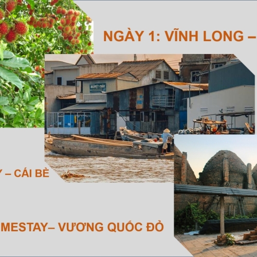 (3 NGÀY 2 ĐÊM) VĨNH LONG - VƯƠNG QUỐC ĐỎ - CÁI BÈ 
