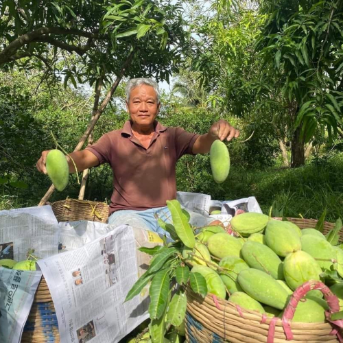 ( 3 NGÀY 2 ĐÊM) TOUR VĨNH LONG - HOMESTAY - CÁI THIA