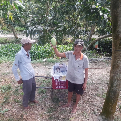 ( 3 NGÀY 2 ĐÊM) TOUR VĨNH LONG - HOMESTAY - CÁI THIA