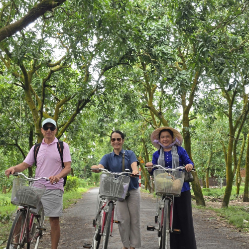 MEKONG 27 (1 DAY ) : CÁI THIA - LÀNG XOÀI CÁT HOÀ LỘC - CÁI BÈ
