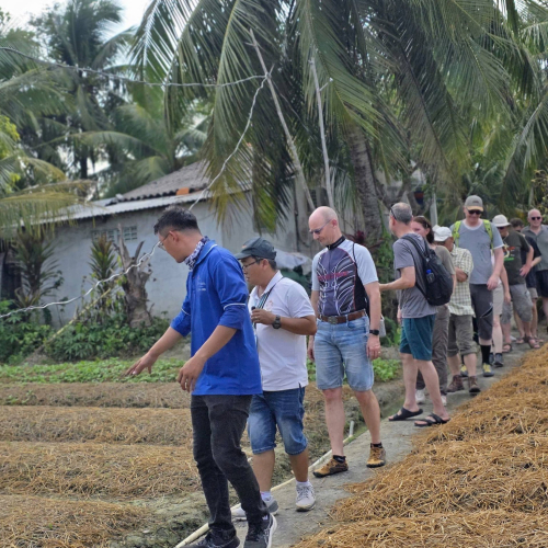MEKONG 7.1: Vĩnh Long - Phước Hậu - Bình Minh - Cần Thơ